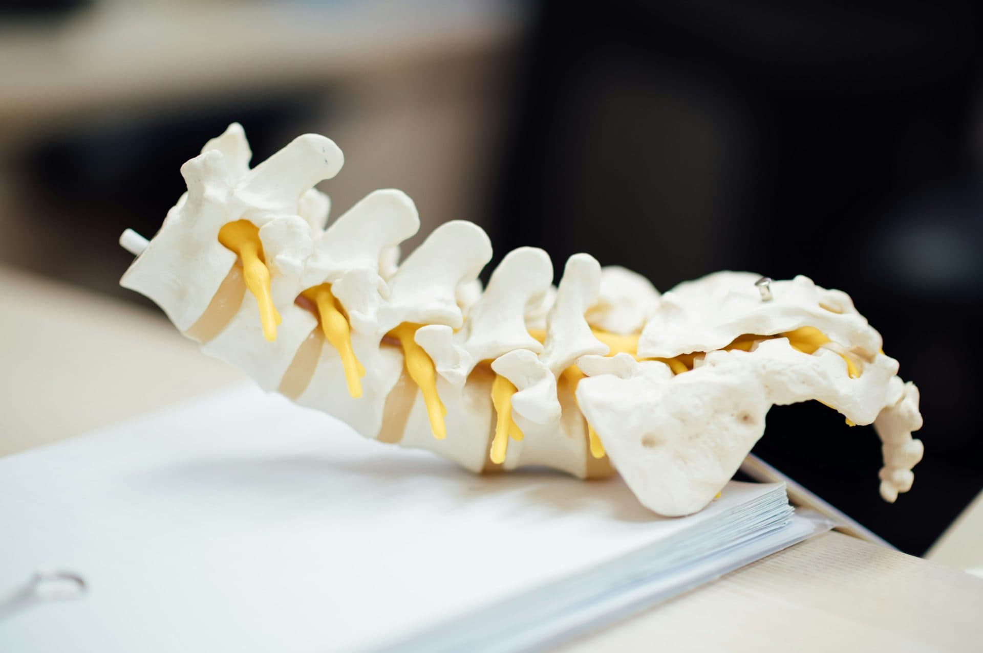 How Amarillo Chiropractors Can Support Your Health Journey