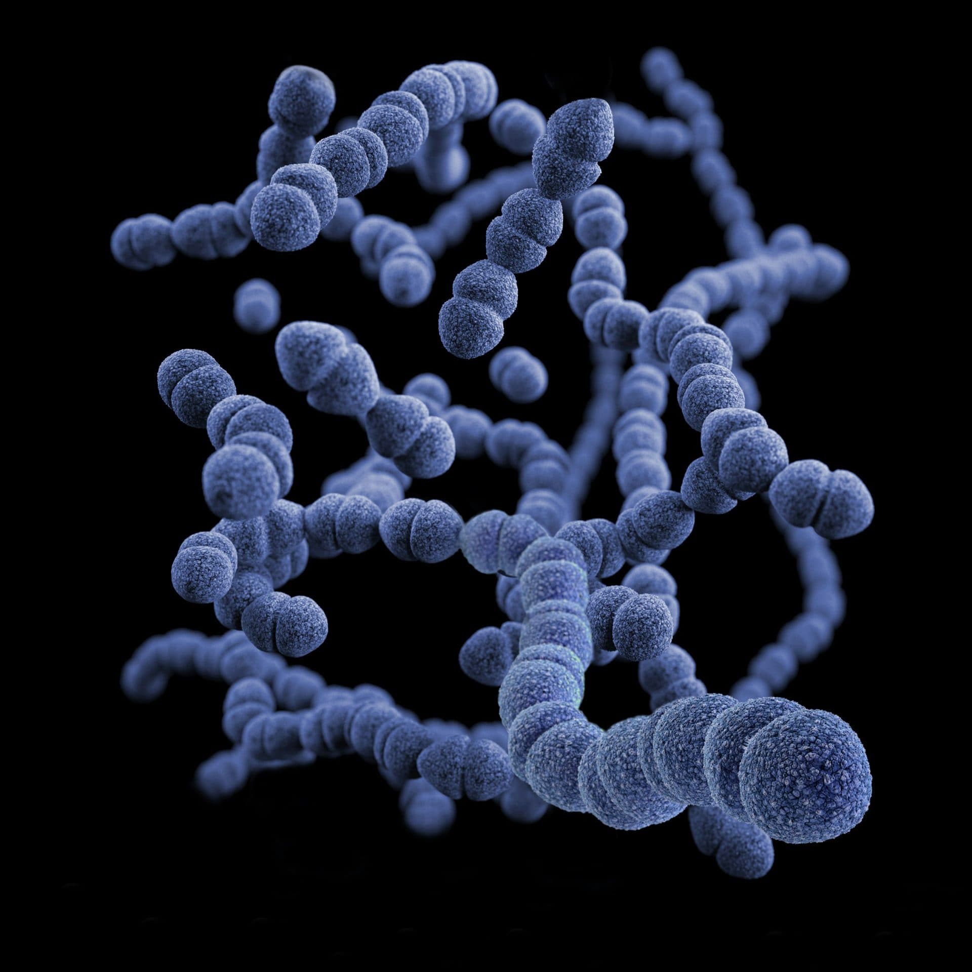 How Obesity Can Negatively Affect Gut Microbiome